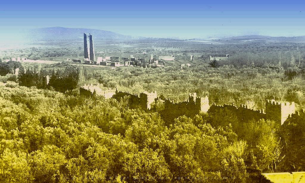 Tlemcen_Mansourah 01.jpg